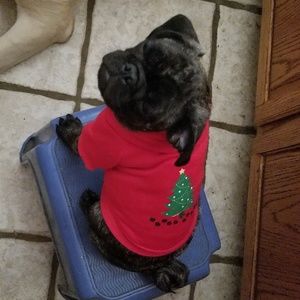 Meet your Posher, Luke